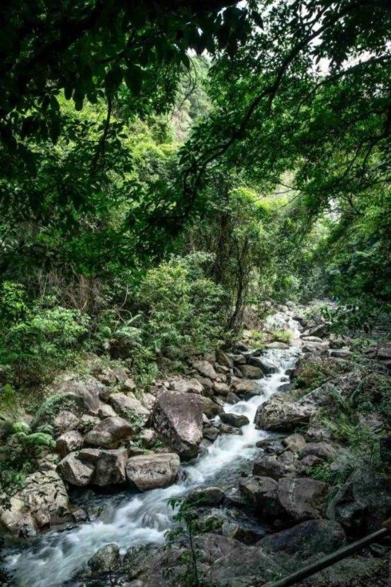 王源疑似在手机上打麻将,为何明星打麻将也能上热搜? 答疑社区